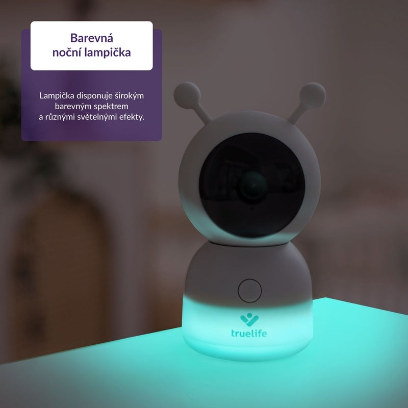 Truelife_nannycam_R7_9